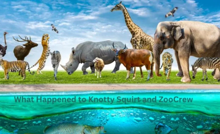 what happened to knotty squirt and zoocrew